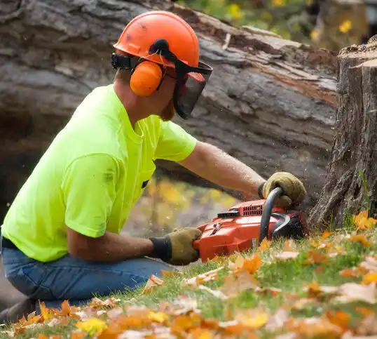 tree services Conehatta